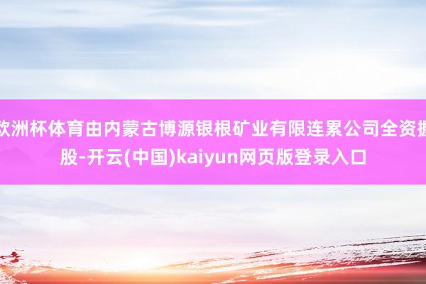 欧洲杯体育由内蒙古博源银根矿业有限连累公司全资握股-开云(中国)kaiyun网页版登录入口